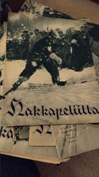 Pikkukuva