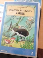 Pikkukuva