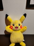 Pikkukuva