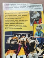 Pikkukuva