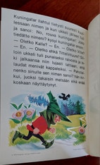 Pikkukuva