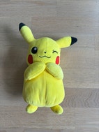 Pikkukuva