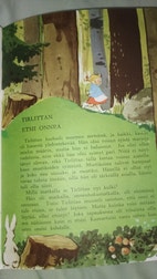 Pikkukuva
