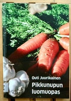 Pikkukuva