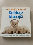 Pikkukuva