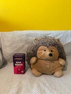 Pikkukuva