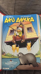 Pikkukuva