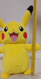 Pikkukuva