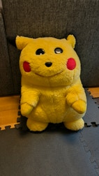 Pikkukuva