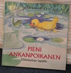 Pikkukuva