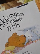 Pikkukuva