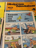 Pikkukuva