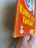 Pikkukuva