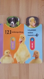 Pikkukuva