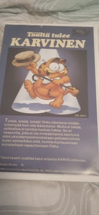 Pikkukuva