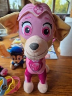 Pikkukuva