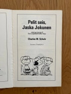 Pikkukuva