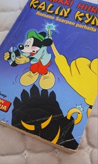 Pikkukuva
