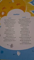Pikkukuva