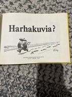 Pikkukuva
