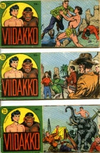 Pikkukuva