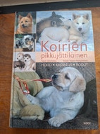 Pikkukuva