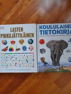 Pikkukuva