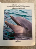 Pikkukuva