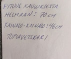 Pikkukuva