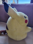 Pikkukuva