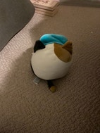 Pikkukuva