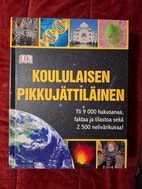 Pikkukuva