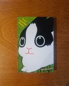 Pikkukuva