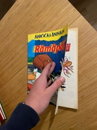 Pikkukuva