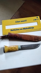 Pikkukuva
