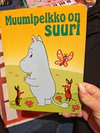 Pikkukuva