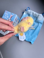 Pikkukuva