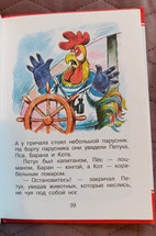 Pikkukuva