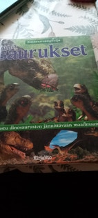 Pikkukuva