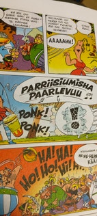 Pikkukuva