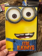 Pikkukuva