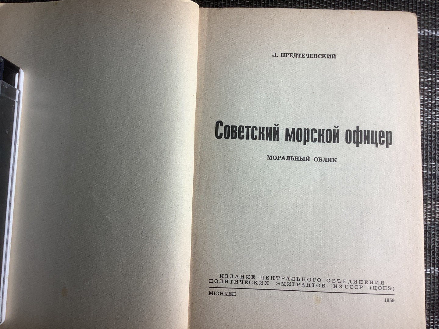 цопэ Романом 8-летней модели и 13-летнего блогера займутся генпрокурор, МВД и  киберполиция | Пикабу