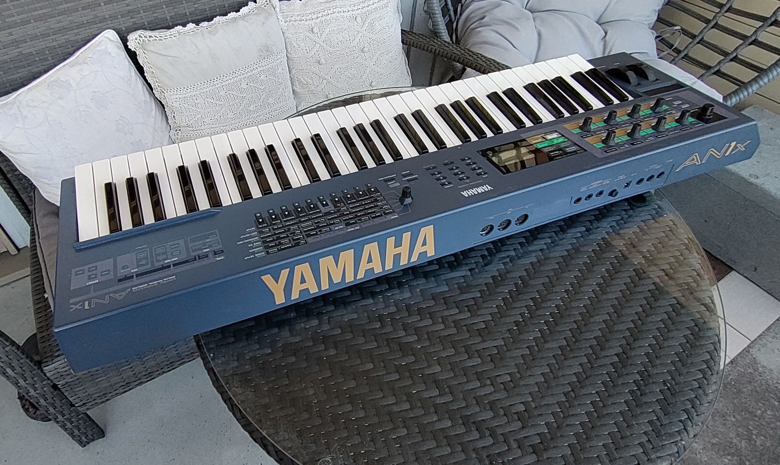 Yamaha AN1x | Tori