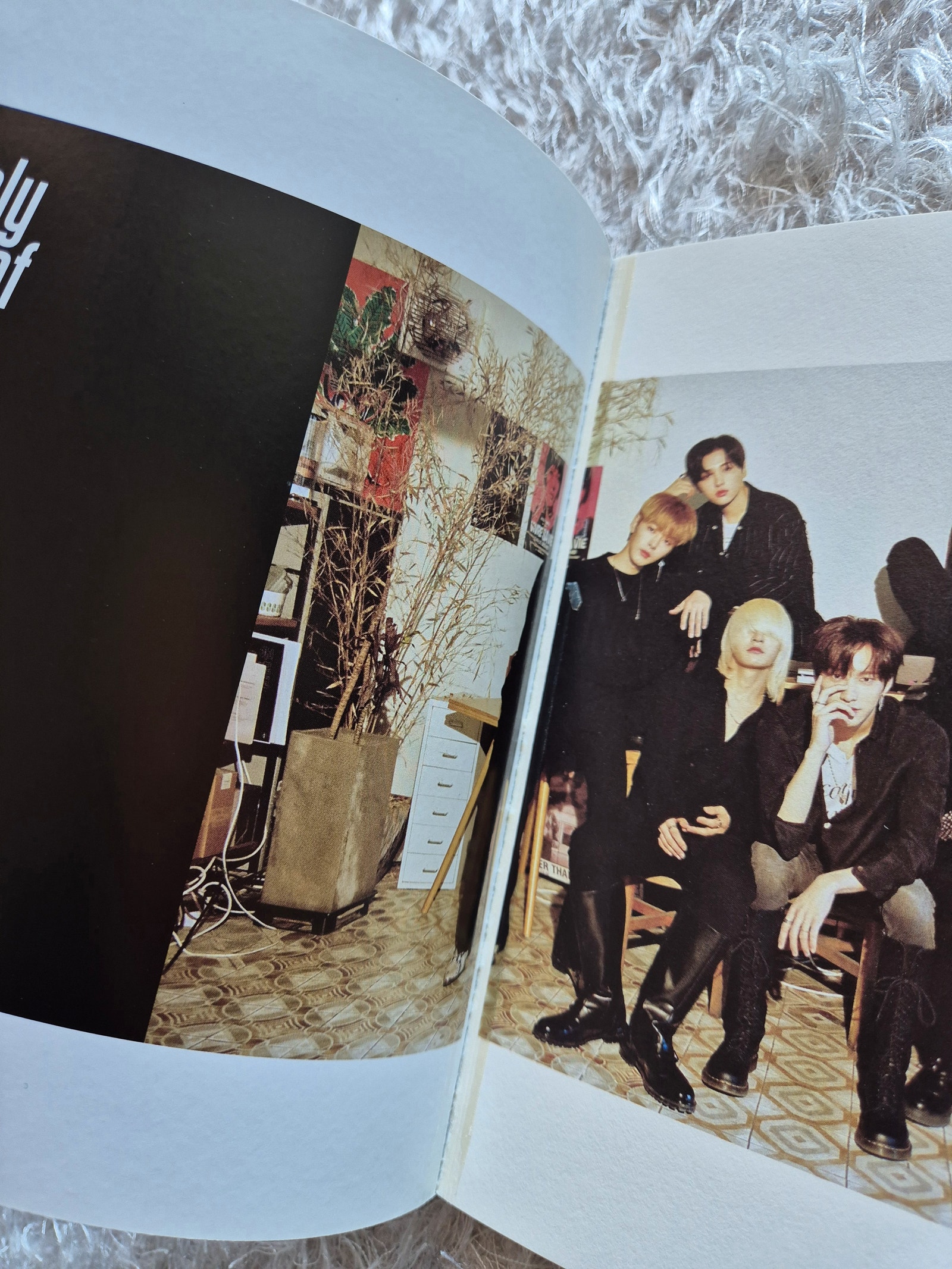 Onlyoneof unknown art pics 1.0 | Tori