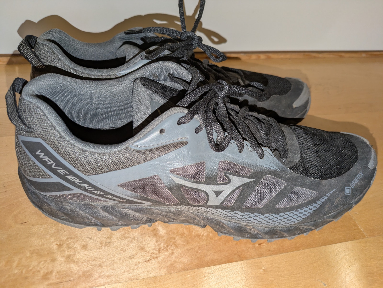 Mizuno Wave Ibuki GTX Tori