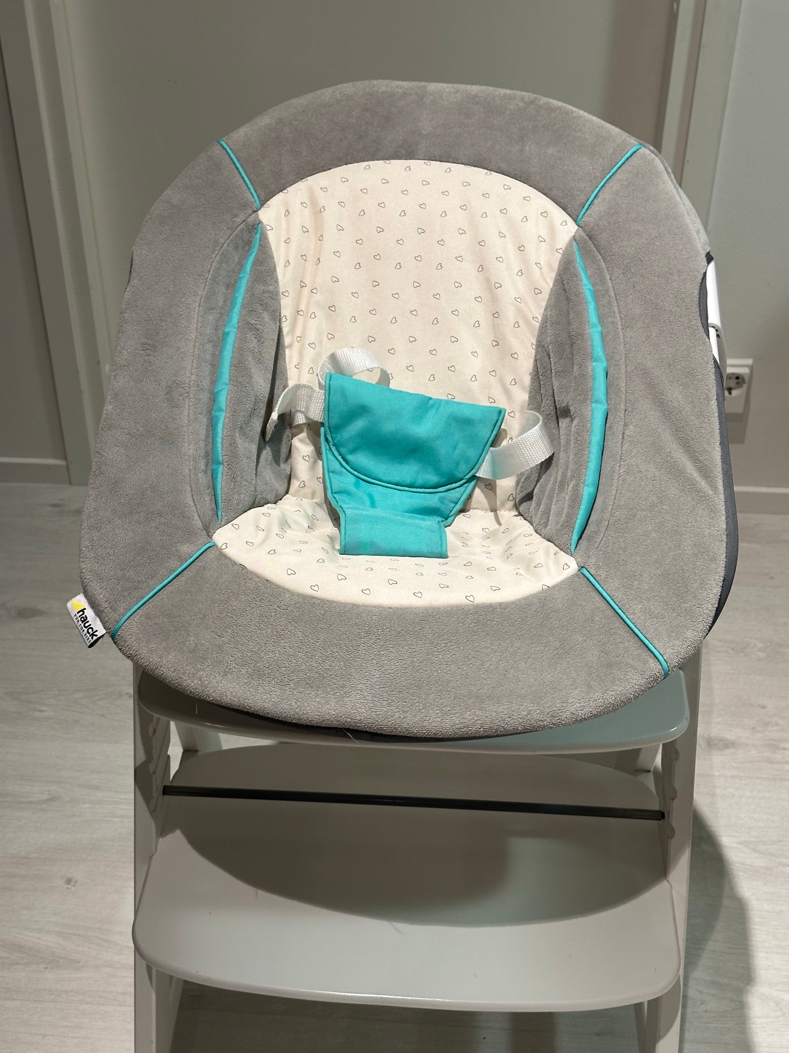 Hauck Alpha+ -syöttötuoli varusteineen | Tori