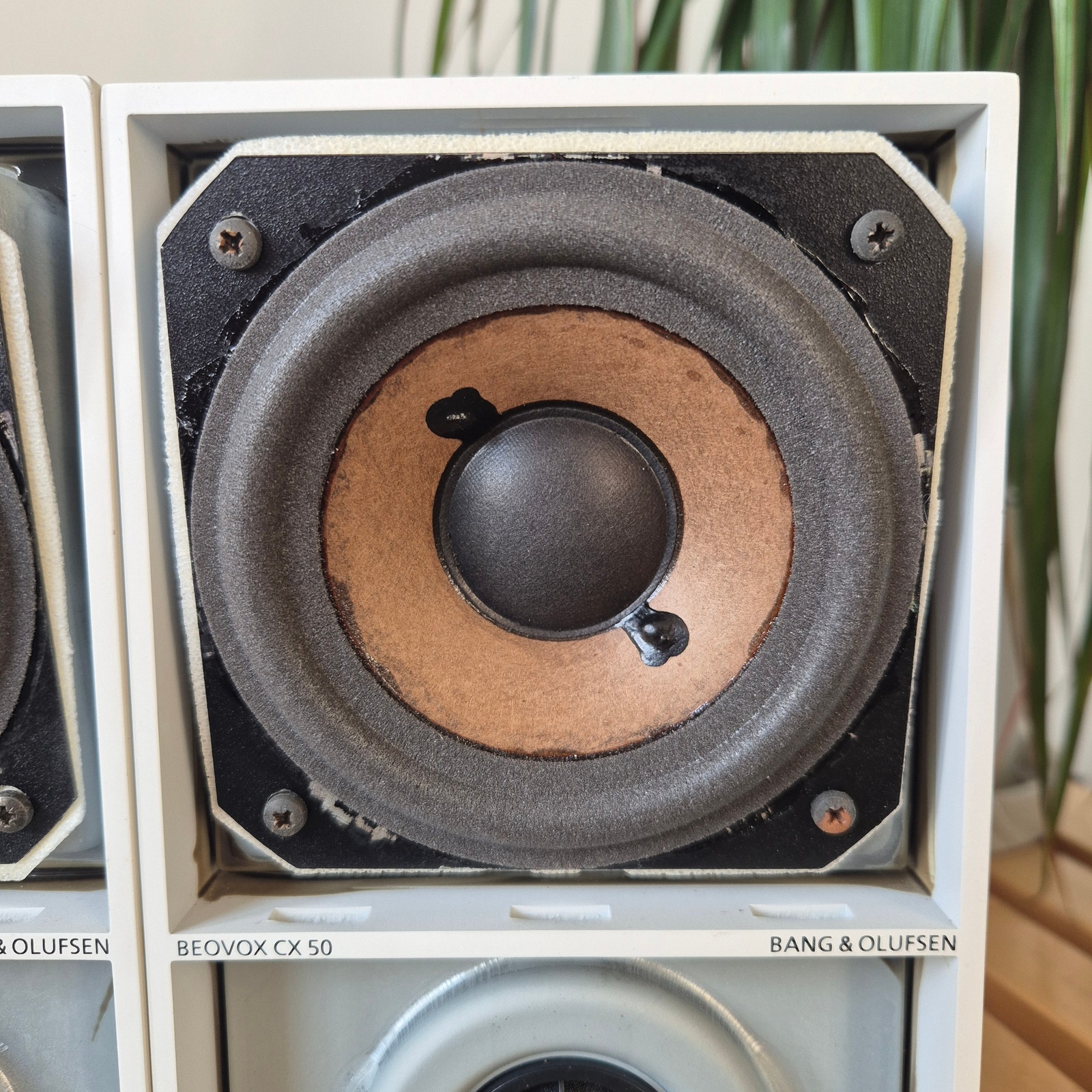 Entisöidyt B&O Beovox CX50 | Tori