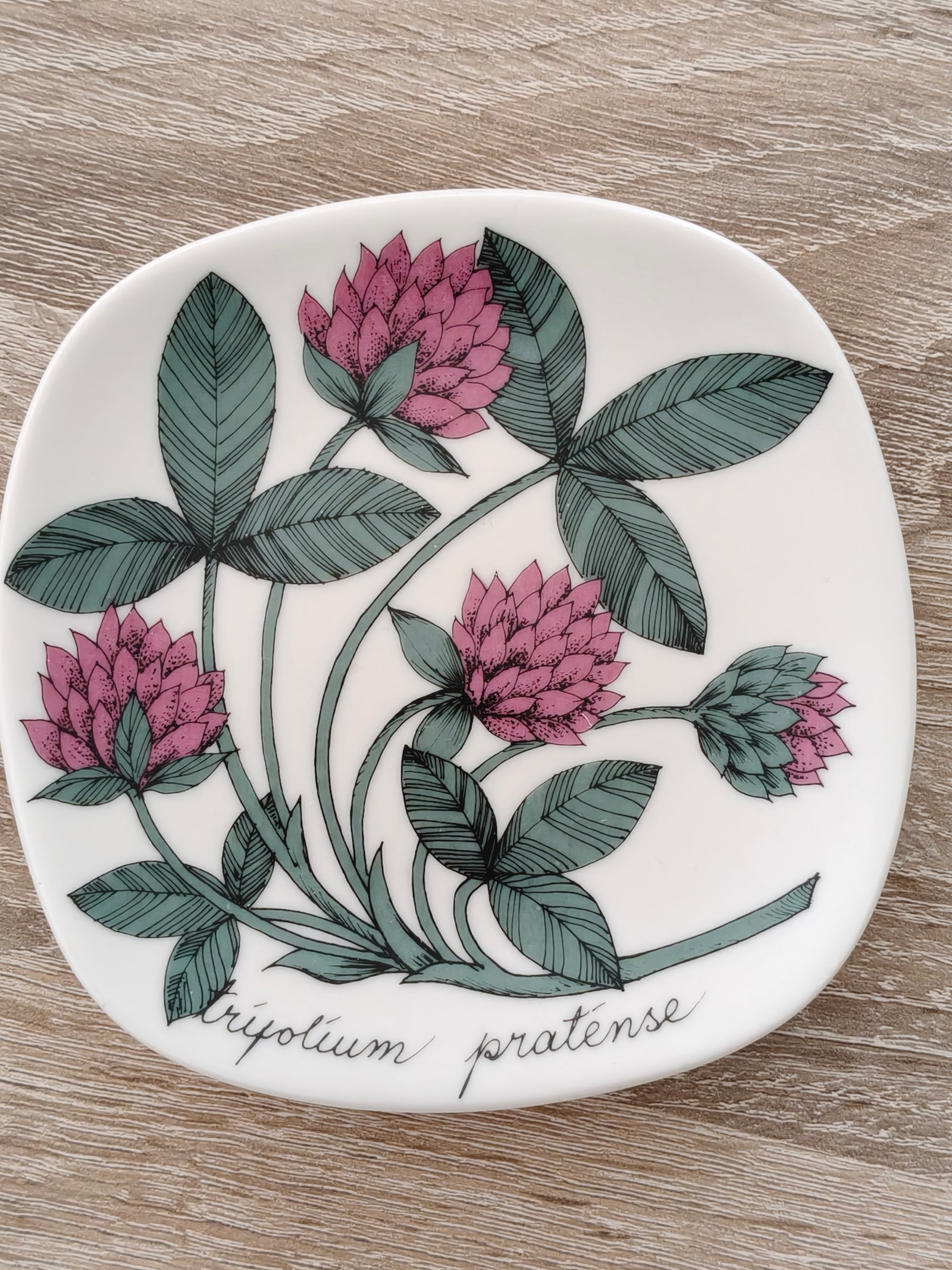 Arabia Botanica Esteri Tomula Puna-apila seinälautanen | Tori