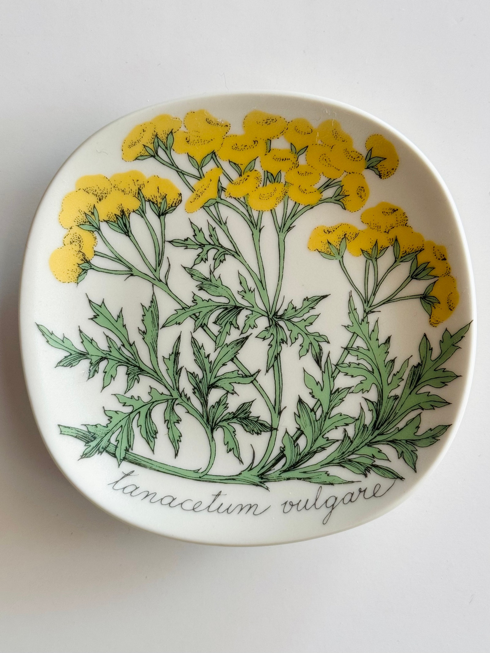 Arabia, Botanica, Esteri Tomula seinälautasia | Tori