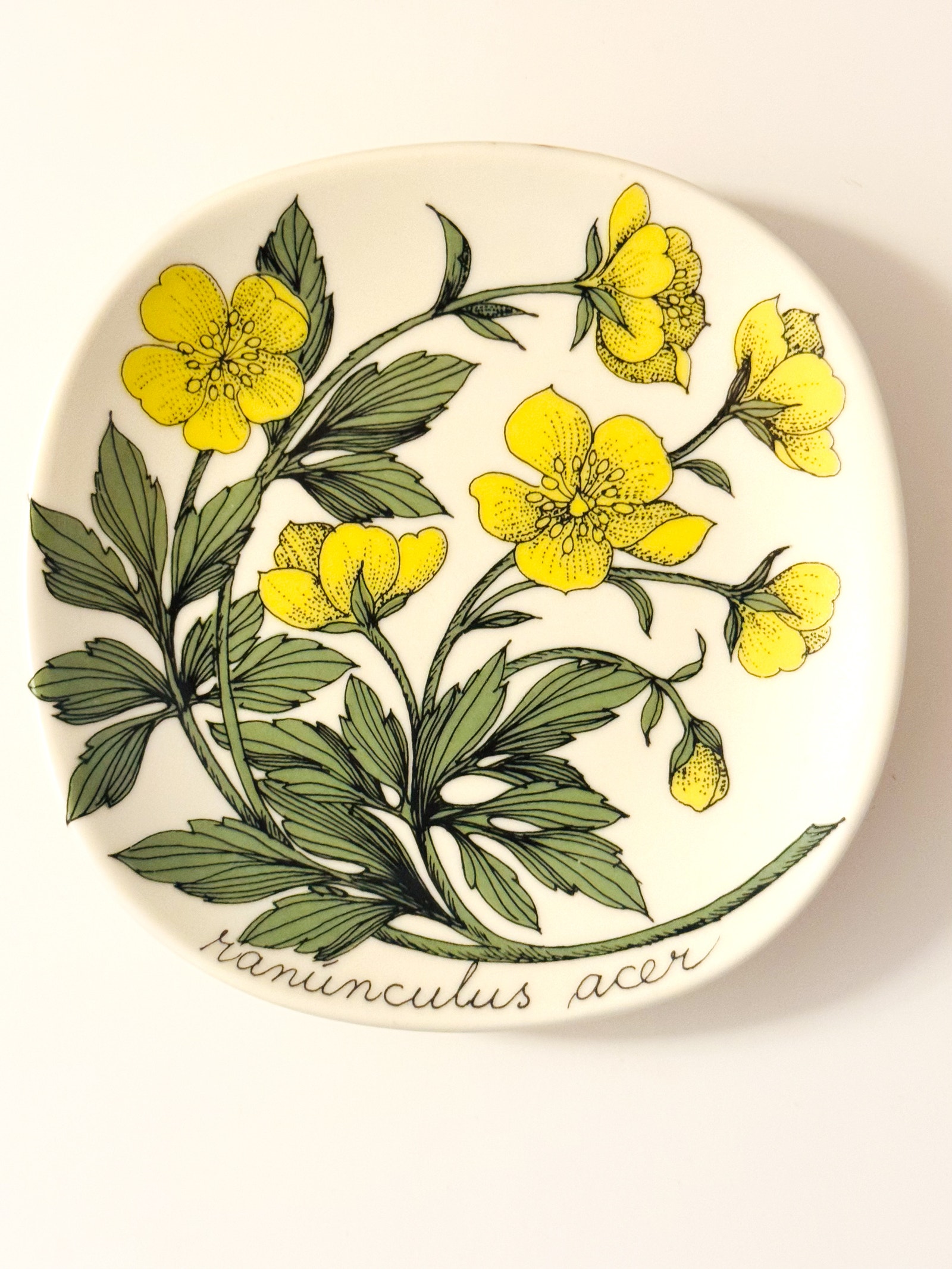Arabia, Botanica, Esteri Tomula seinälautaset | Tori